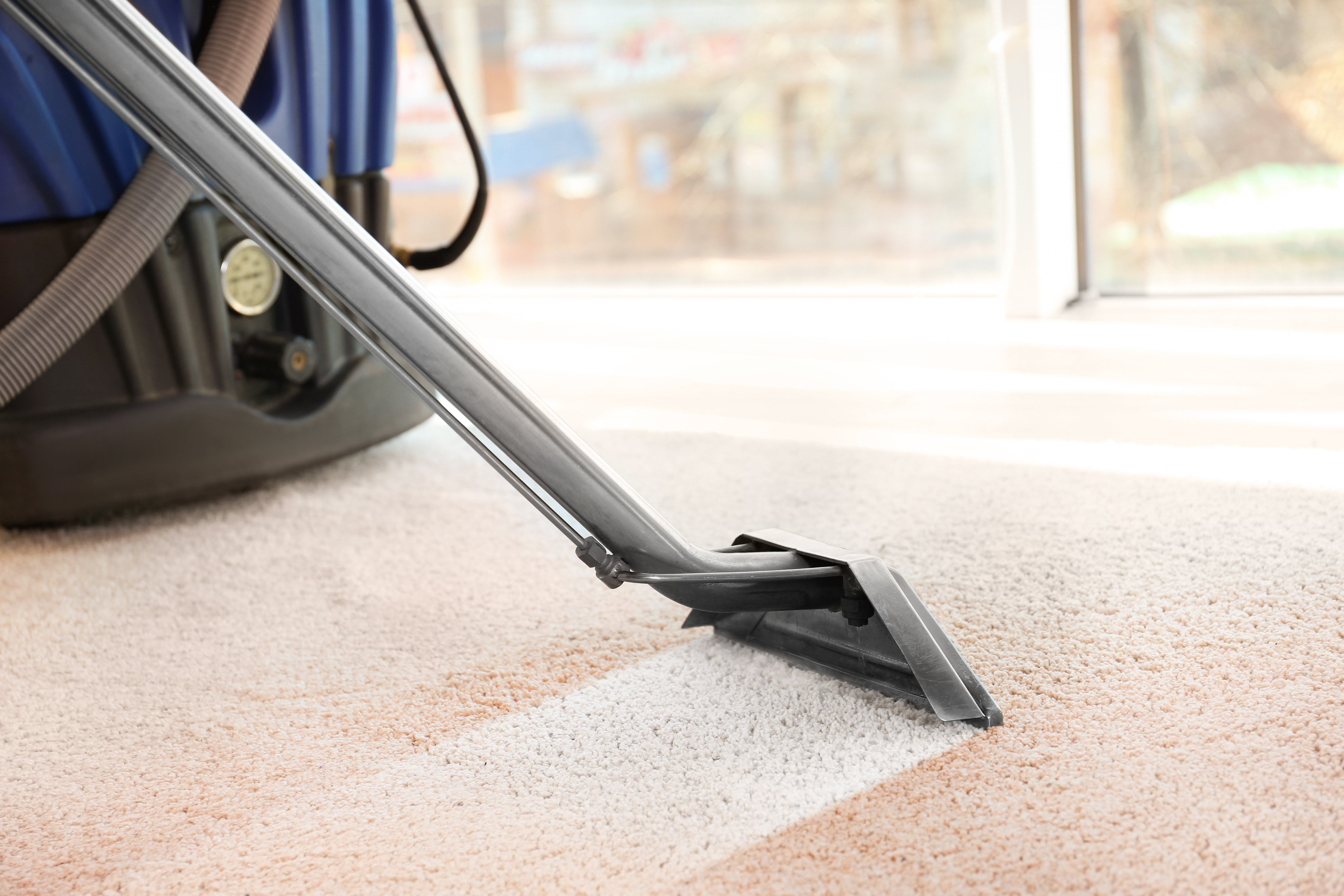 carpet cleaning, business